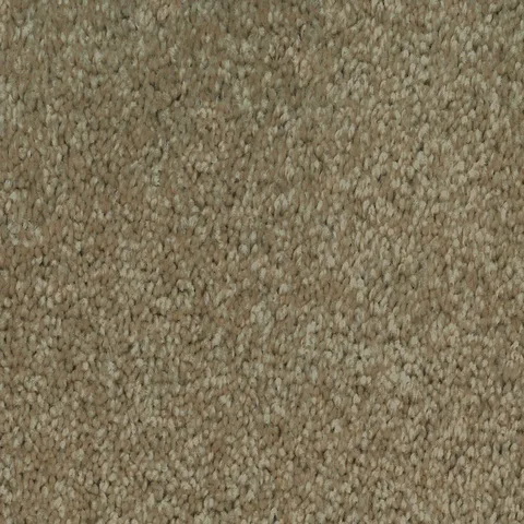 Ambrosia carpet swatch